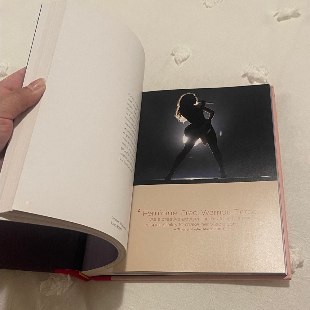 Beyoncé and the Clothes She Wears Book - Pink and Gray - Picture 4 of 9